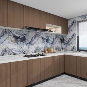 61eNSRewOBL._SL1000_